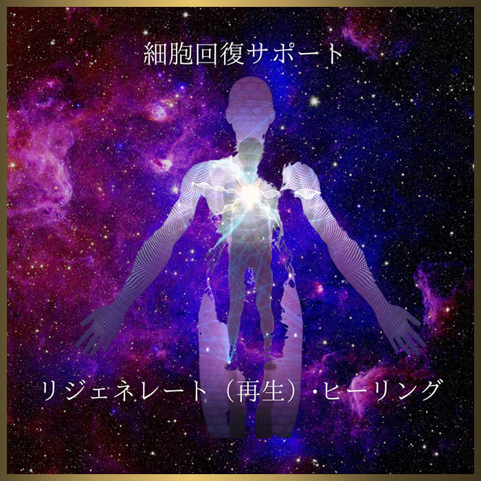 身体の細胞回復をサポート